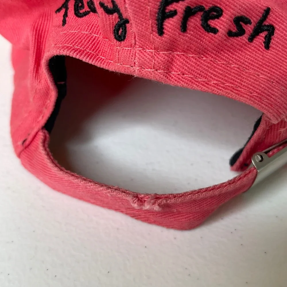 Teddy Fresh Hat Pink Blue Colorblock Baseball‎ Cap Embroidered Bear Adjustable